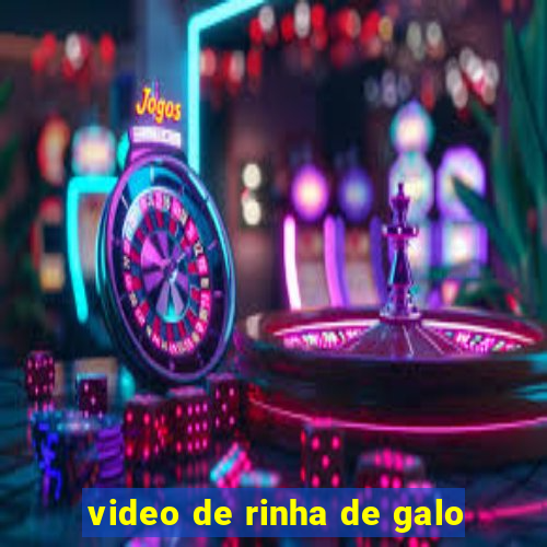 video de rinha de galo